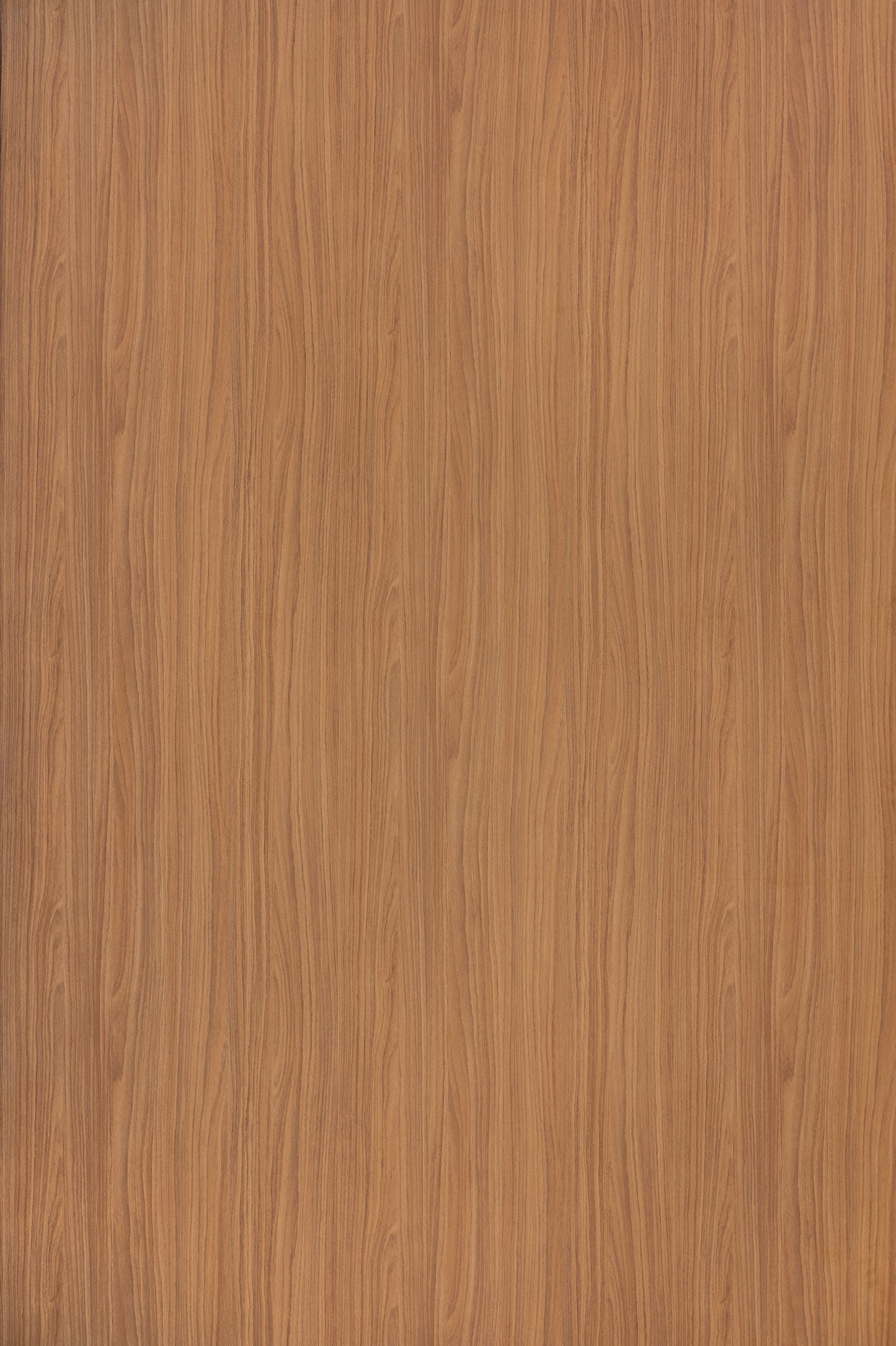 Fita de Borda Padrão SUDATI - Palissandro Dourado - TABONE